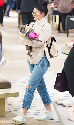 Kylie Jenner Outfits : Kylie Jenner and her entourage go on a shopping spree with her pampered pooches ...: 
