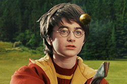 J. K. Rowling. Harry Potter Ron Weasley: harry potter,  Harry Porter,  Harry Botter,  Ron Weasley  