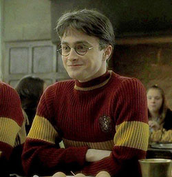 James Sirius Potter. Harry Potter (Daniel Radcliffe / Harry Potter): harry potter,  Hermione Granger,  Harry Porter,  Harry Botter  