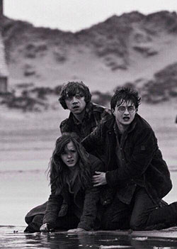 Harry Potter and the Deathly Hallows. Harry Potter I love this pic. Describes of how Harry is so scared that Hermione ...: harry potter,  Emma Watson,  Hermione Granger,  Harry Porter,  Harry Botter,  Rupert Grint,  Ron Weasley,  Draco Malfoy  