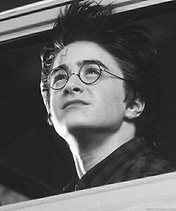 Harry Potter and the Chamber of Secrets. Harrys scar signifies his fight with Voldemort. it reminds Harry of what he did ...: harry potter,  Hermione Granger,  Harry Porter,  Harry Botter,  Daniel Radcliffe,  Lord Voldemort,  Helga Hufflepuff  