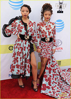 Chloe X Halle. [Pics] The NAACP Image Awards Red Carpet Was Waaay Better Than the Grammys.…: Red Carpet Dresses,  Yara Shahidi  