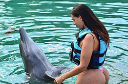 Amirah Dyme with Dolphin: AMIRAH DYME  