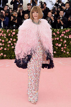 Anna Wintour Met Gala 2019: 