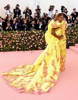 Serena Williams Met Gala 2019: 