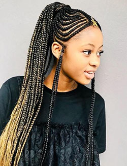 Long braided ponytail with fulani braids: Afro-Textured Hair,  Long hair,  Hairstyle Ideas,  Box braids,  Braided Hairstyles,  Fula people,  Braided Ponytail  