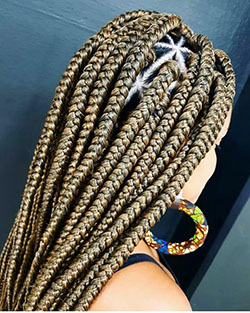 Box braids: Box braids,  Braided Hairstyles,  Braid Styles  