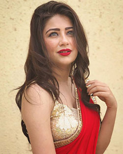 Aditi Bhatia In Red Saree: Television show,  Aditi Bhatia,  Krishna Mukherjee,  Hot Girls In Saree  