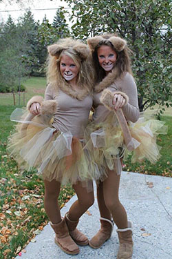 Homemade Diy Lion Halloween Costume: Clothing Accessories,  Halloween costume,  party outfits  