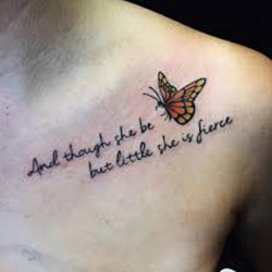 Butterflies: 