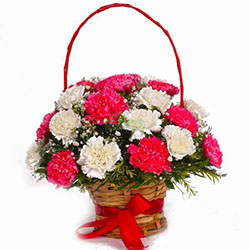 Basket of Pink and White Carnations: 