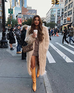 Girls most favorite fall party outfits, Winter clothing: winter outfits,  Casual Outfits,  Fur Coat Outfit  
