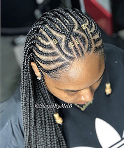 Fulani Braids Hairstyles, Artificial hair integrations, Box braids: Long hair,  Hair Color Ideas,  Box braids,  Mohawk hairstyle,  Braids Hairstyles,  Black hair  
