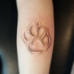 3d paw print tattoo, temporary tattoo: Body art,  Temporary Tattoo,  Tattoo Ideas,  Animal print  