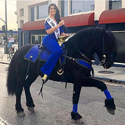 Graciela Montes Model, Horse harness, Western riding: Animal print  