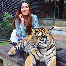 Tiger Kingdom Phuket, Photo caption: Purbasha Das  