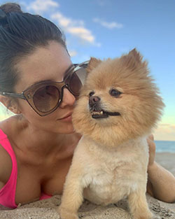 Amanda Cerny Hot Photos, German Spitz Klein, German Spitz Mittel: Dog breed,  Amanda Cerny,  Hot Instagram Models  