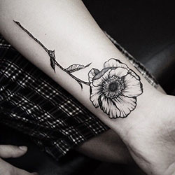 Ideas for perfect botanic flower tattoo, Sleeve tattoo: Floral design,  Sleeve tattoo,  Tattoo artist,  Tattoo Ideas  