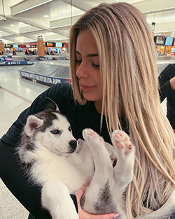 Brielle Biermann Instagram Pictures, Miniature Siberian Husky, Canadian Eskimo dog: Siberian Husky,  Dog breed,  Hot Instagram Models  
