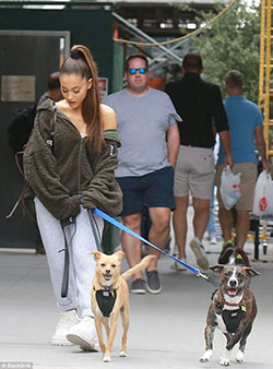 Ariana grande walking dog: Ariana Grande,  Ariana Grande’s Outfits  