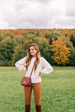 Casual Style Brown Pants Outfit: Brown Outfit  