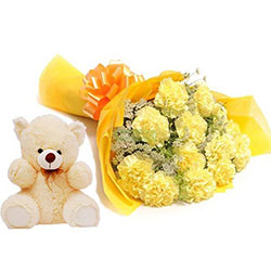 Beauty of Carnations with Teddy: 
