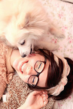 Nerdy Glasses For Girls, Dog breed, Miniature Schnauzer: Dog breed,  Nerdy Glasses  