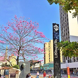 Ju Santos Instagram, metropolitan area, architecture, urban area: Insta Beauty  