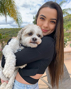 Vanessa Merrell, companion dog, vertebrate, dog breed: Dog breed,  TikTok Star Vanessa Merrell  