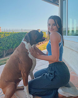 Annie LeBlanc, fila brasileiro, sporting group, vertebrate: Dog breed,  Annie LeBlanc Instagram  