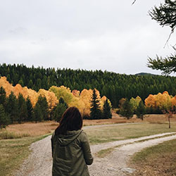 Colour dress sky, Ն: Jacket Outfits,  Woody Plant  