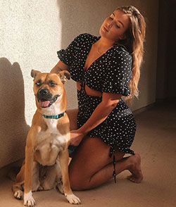 Stephanie Viada, non-sporting group, companion dog, puppy love: Dog breed,  Puppy love  