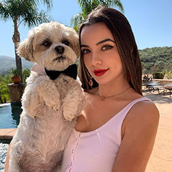 Vanessa Merrell, companion dog, interaction, puppy love: Dog breed,  Puppy love,  TikTok Star Vanessa Merrell  