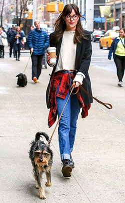 Dakota johnson with specs, dakota johnson, street fashion, companion dog, fifty shades, dog walking, dog breed, new york: New York,  Dakota Johnson,  Dog breed,  Street Style,  Plaid Outfits  