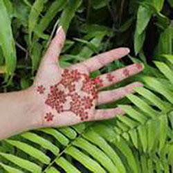 Easy DIY Floral Henna Design for Hands: 