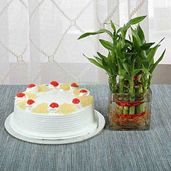 Pineapple Cake N Lucky Bamboo: 