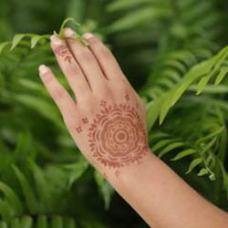 Henna Tattoo Stencils as Zodiac Signs: 