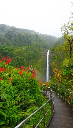 Outfit Pinterest Travel valdivian temperate rain forest: Travel photography,  Travel Outfits  