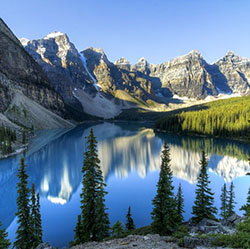 Colour ideas beauty of nature larix lyalliisubalpine larch, body of water: Body Goals  