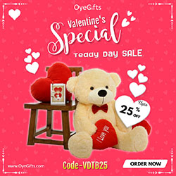 Teddy Day Sale: 