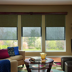 Blockout Blinds: 