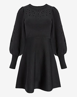 Eyelet Lace Fit And Flare Sweater Dress | Express: 