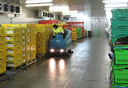 Excellently Floor Scrubbers in Auckland: 