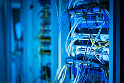 Internet Cabling Auckland: 