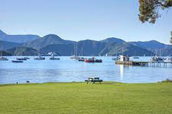 Searching Waterfront Apartments Picton: 