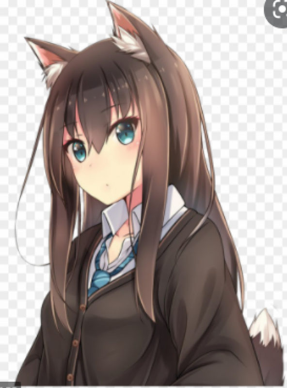 Anime wolf girl: 