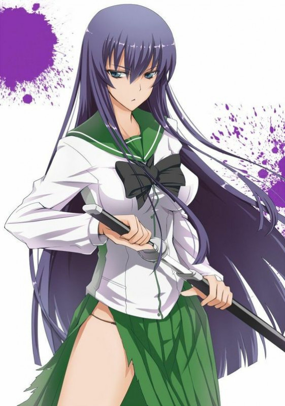 Saeko Busujima Hot Pictures - Anime: Highschool of the Dead: Pretty Anime  