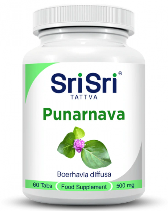 Punarnava - Solution For Kidney and Skincare: 