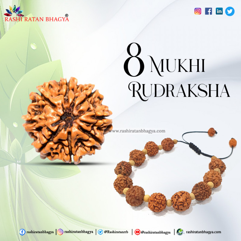 Offer by rashi ratan bhagya :10 % of on  8 Mukhi Rudraksha: 