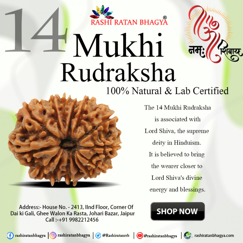 Buy Original 14 Mukhi Rudraksha in Shravan Maas and get ten percent off: 